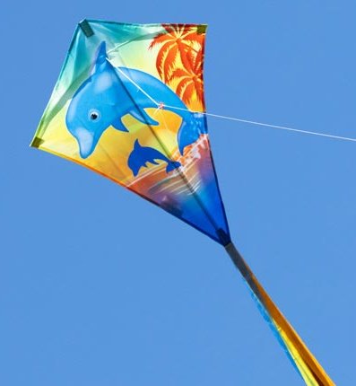 102123_g40-1 102123_g40-1