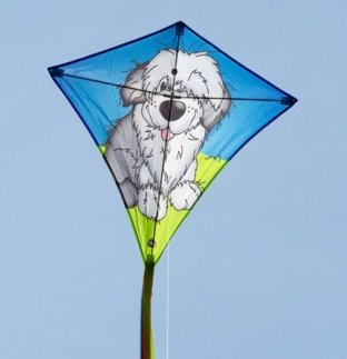 eddy_hund-1 eddy_hund-1